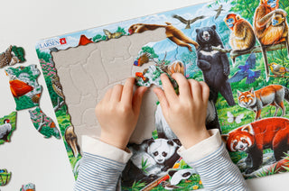 Larsen Puzzles as cognitive training