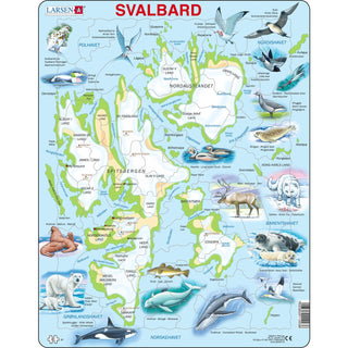 Svalbard Fysisk med dyr