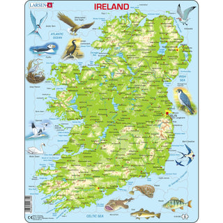Ireland Topographic Map