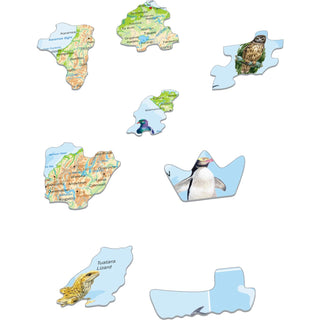 New Zealand Physical Map