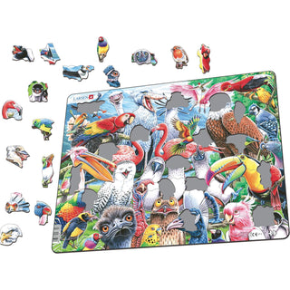 Muntre fugler fra hele verden