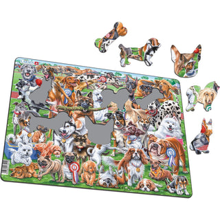 Søte og lekne hunder