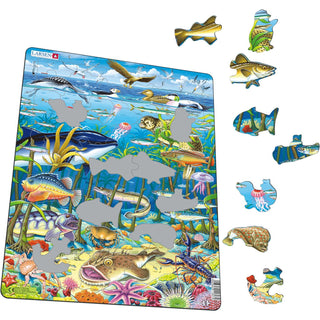 Sjøliv i Nord Atlanteren