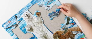 Isbjørn og hvalross