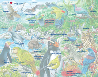 New Zealands dyreliv