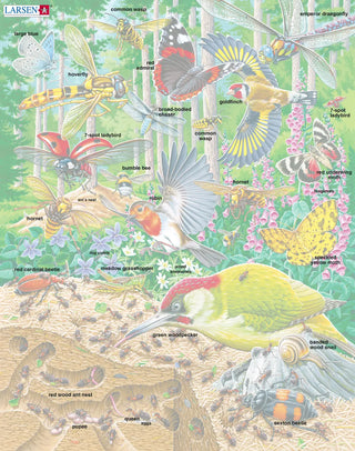 Yrende liv på skogbunnen