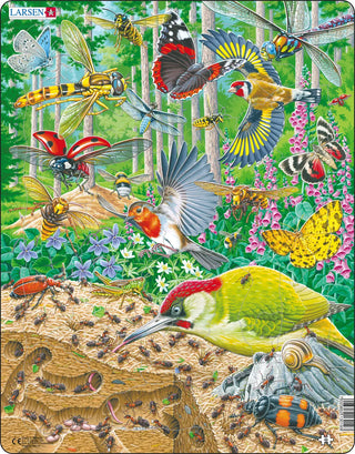 Yrende liv på skogbunnen