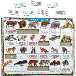 Reading Trainer wild animals