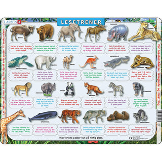 Reading Trainer wild animals