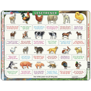 Reading Trainer farm animals