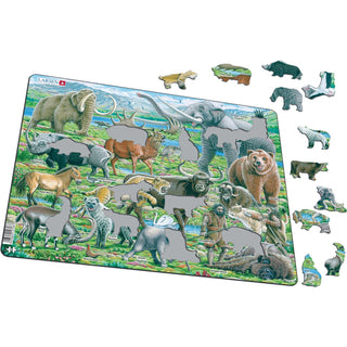 Dyrelivet på neandertalernes tid